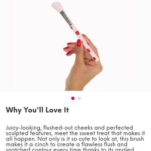 SLMISSGLAM Strawberry Blusher & Contour Brush